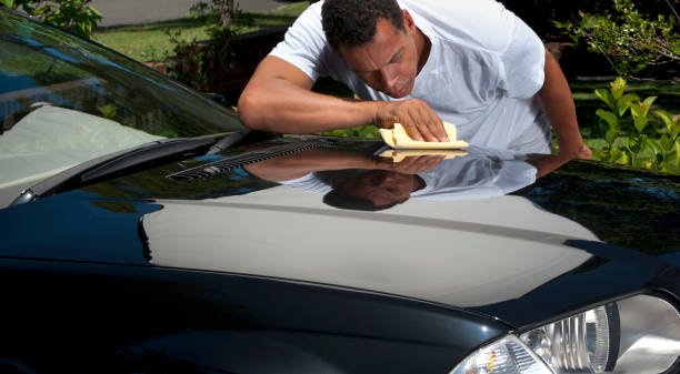 paint sealant Cumming GA