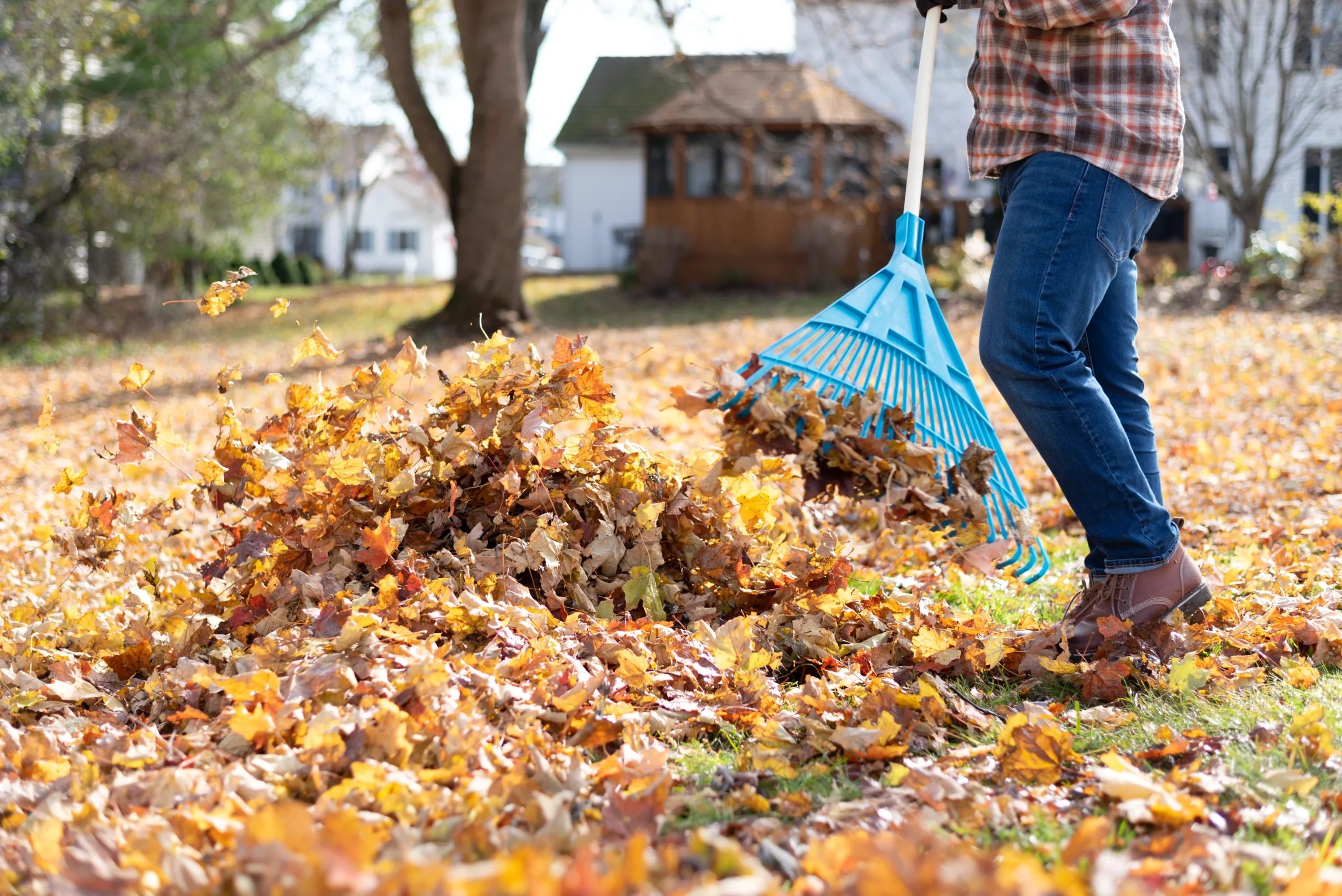 The Ultimate Guide to Leaf Removal: Keep Your Lawn Clean Year-Round