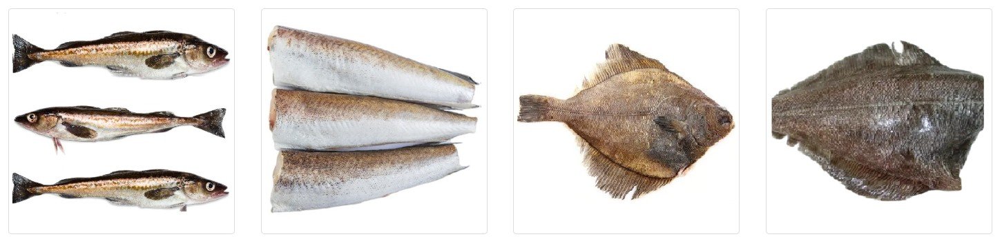 What Are Pasteboard Boxes Used For & How Do They Help Seafood Packaging?