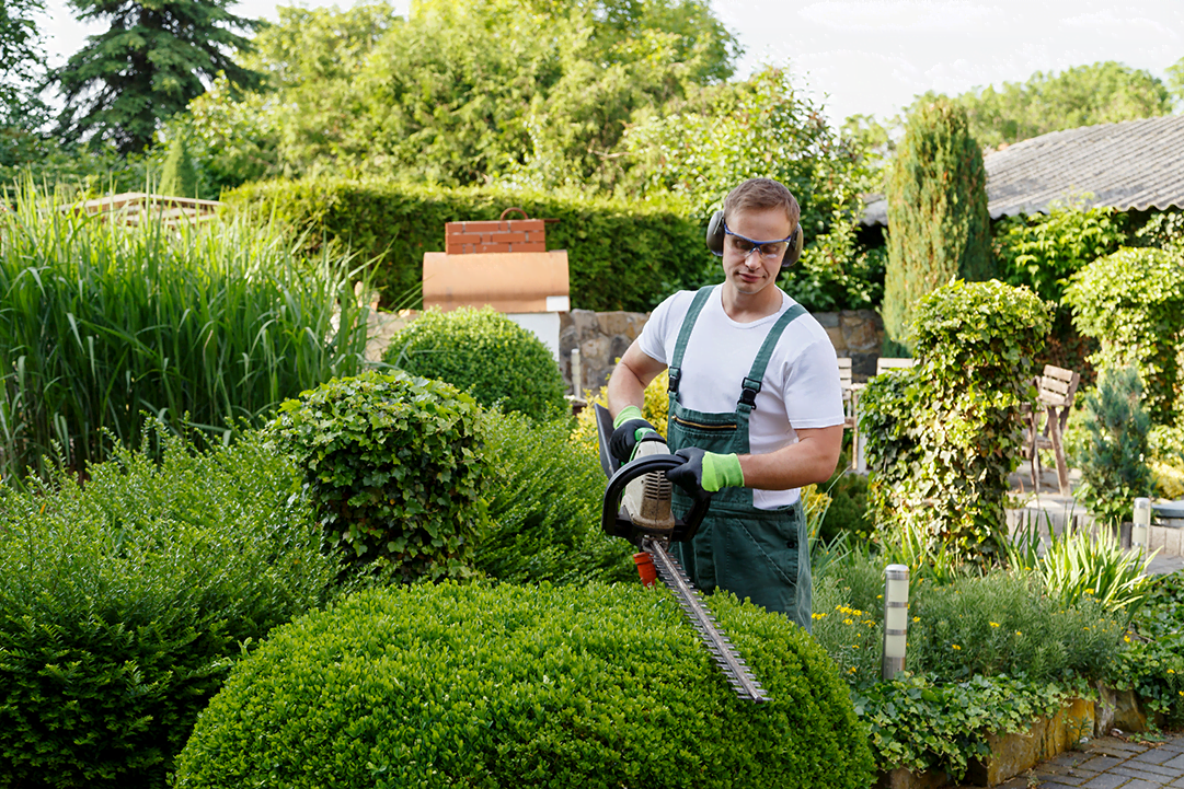 How to Choose the Right Landscaper for Your Dream Yard