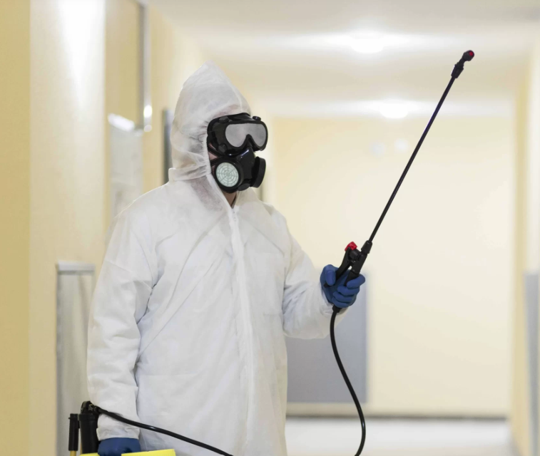 What Should You Know About Pest Control in Colorado Springs?