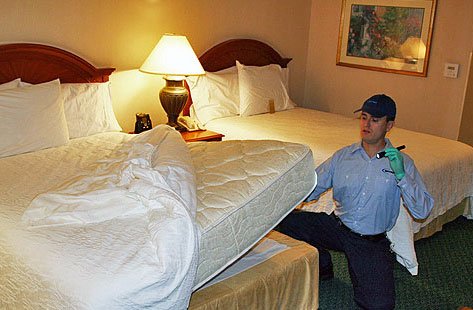 Bed Bug Fumigation Springfield MO: Your Complete Guide to Effective Bed Bug Removal