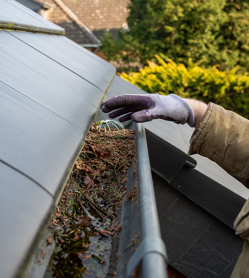 Landscaping Contractor Manalapan NJ: Transform Your Outdoor Space with Expert Care