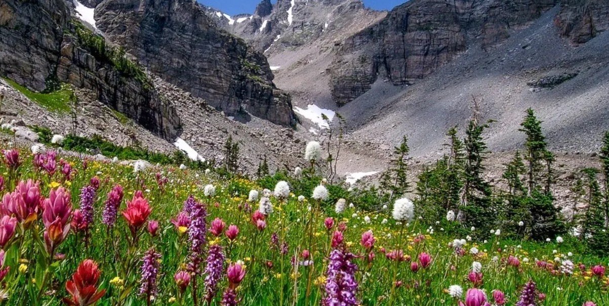 Is Your Home Truly Healthy? A Complete Guide to Radon Mitigation in Brighton and Vapor Barriers in Fort Morgan