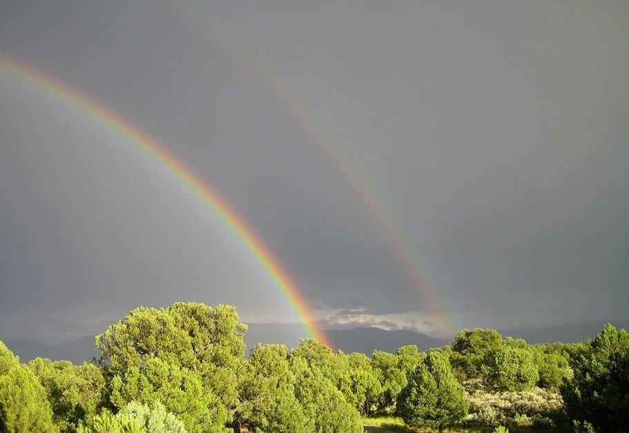 Colorado vs. Texas: Which Vacation Rental is Right for You?